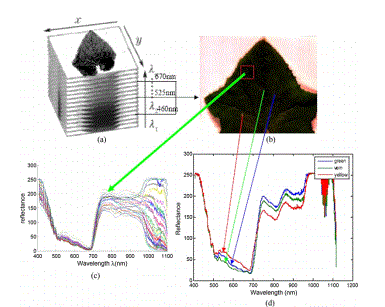 1666165974122951.png 圖片3.png