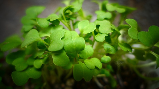 1666751830174744.png 圖片1.png