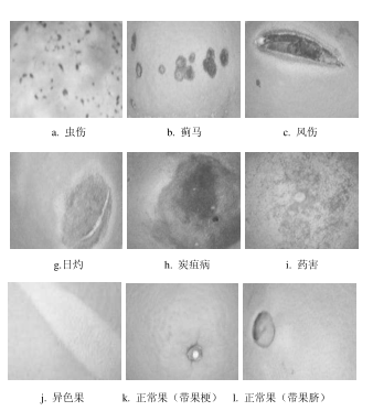 1667961903114086.png 圖片3.png