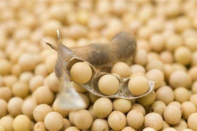 基于高光譜成像的大豆食心蟲小樣本檢測方法研究