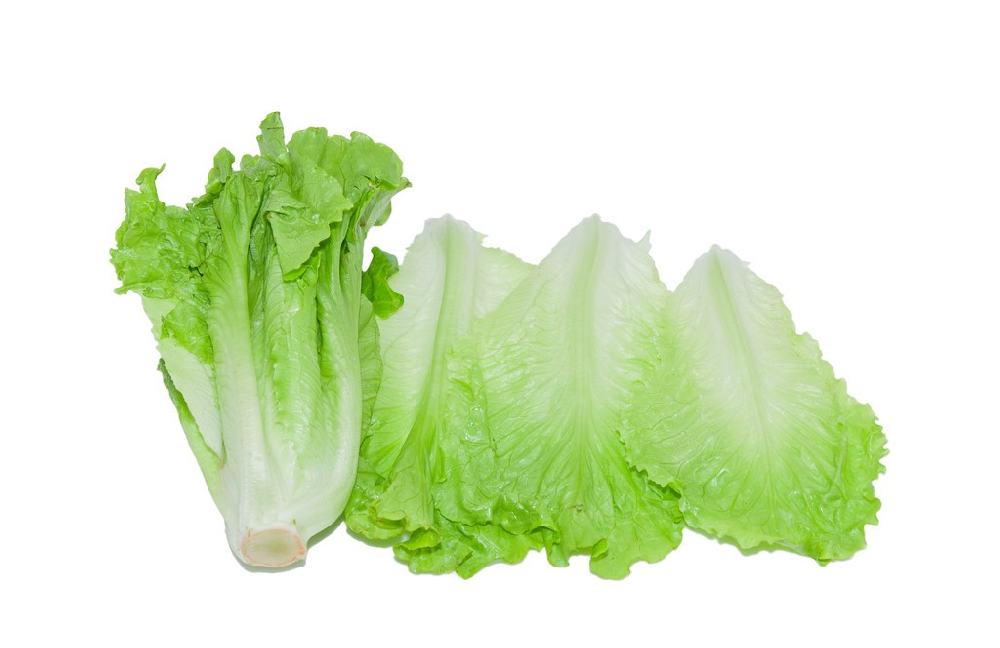 基于高光譜成像光譜儀圖像的生菜葉片氮素含量預(yù)測(cè)模型研究