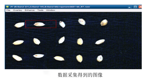 1689141785107162.png image.png