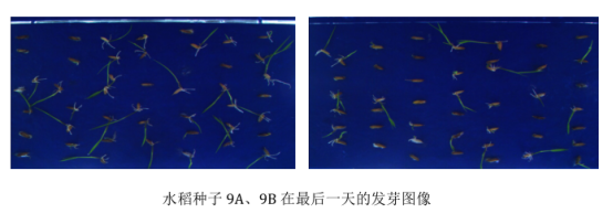 1689141815201517.png image.png