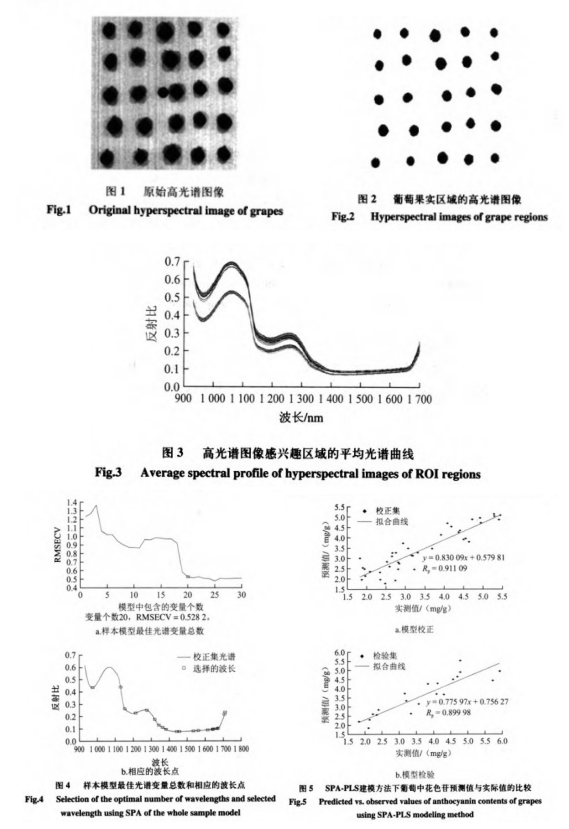 1693016004186530.png image.png