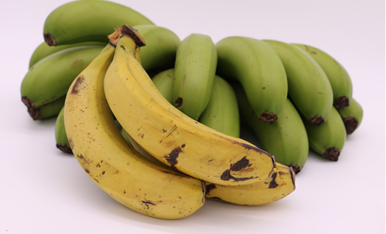 基于高光譜成像技術的青香蕉碰撞損傷檢測