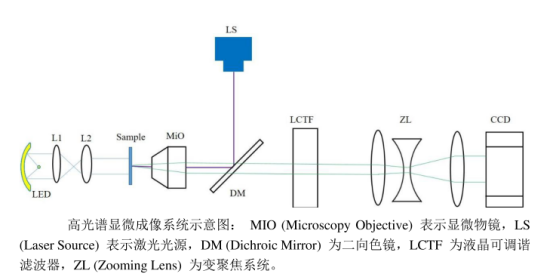 1711419181164737.png image.png