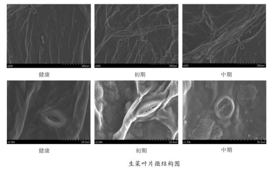 1716517050530400.png image.png