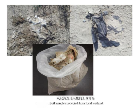 1724305050113474.png image.png