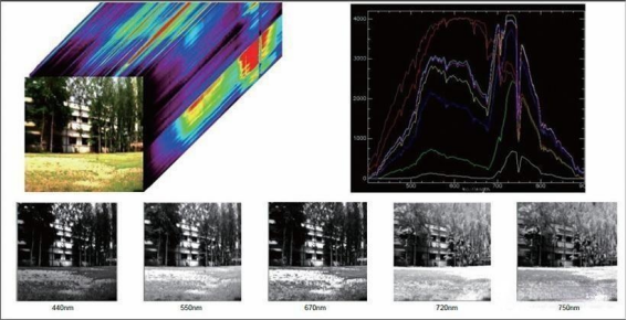 1726819616781748.png image.png