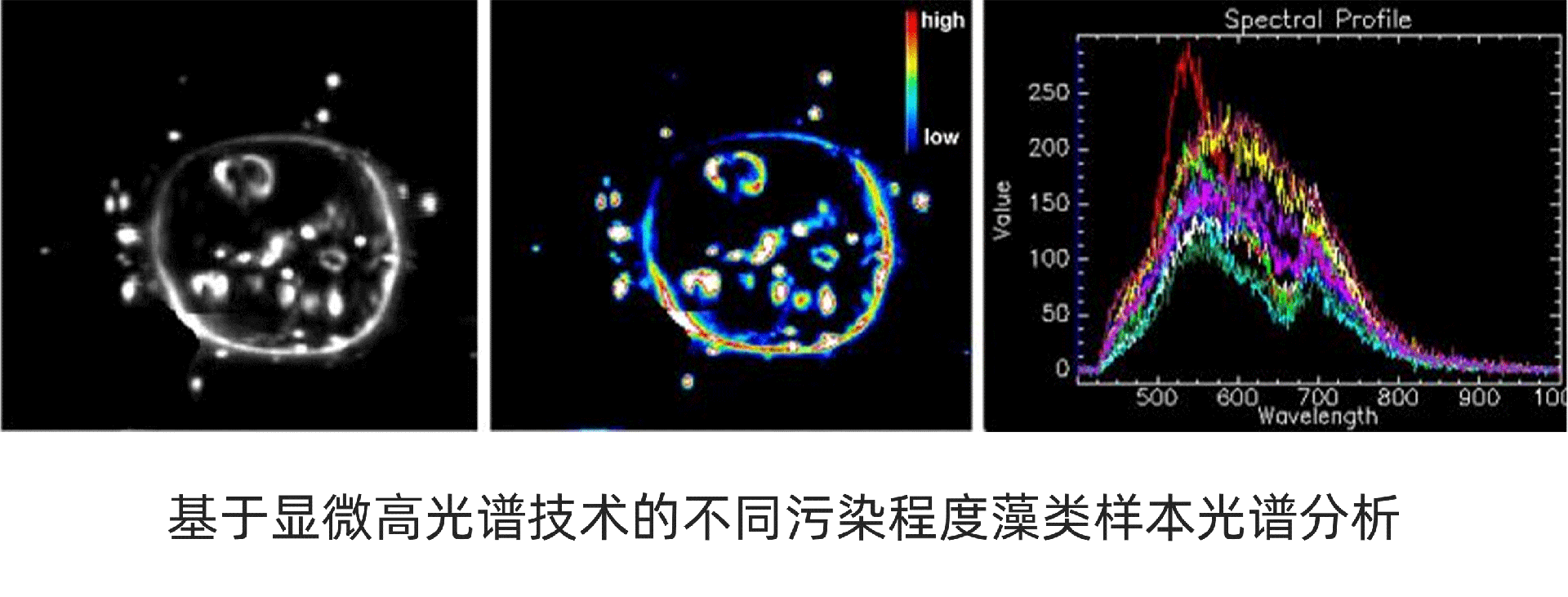 1732781394303923.png 1732781394303923.png