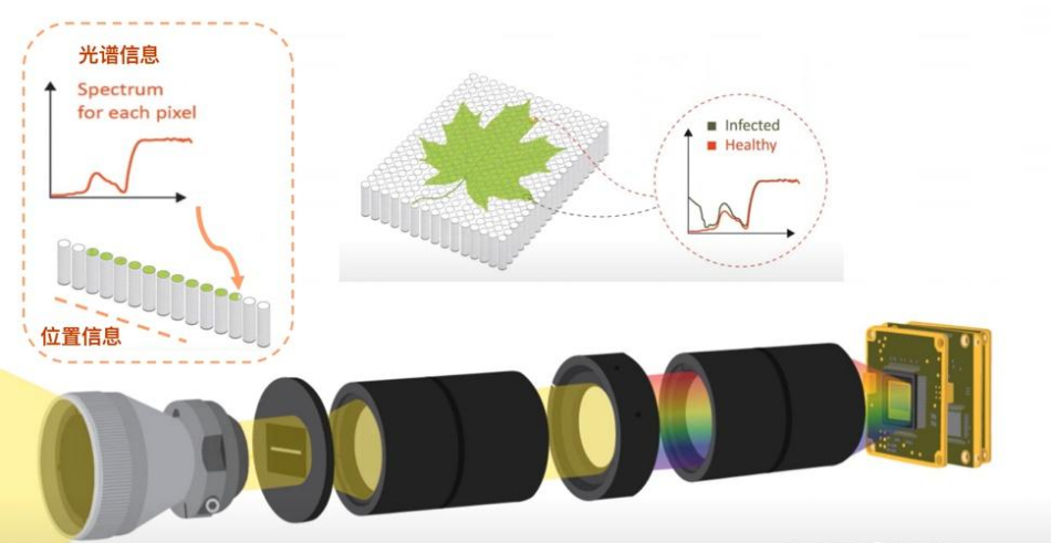 高光譜相機對樹葉生理狀態監測