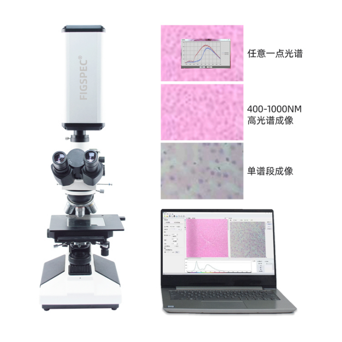 1756522625975746.png image.png