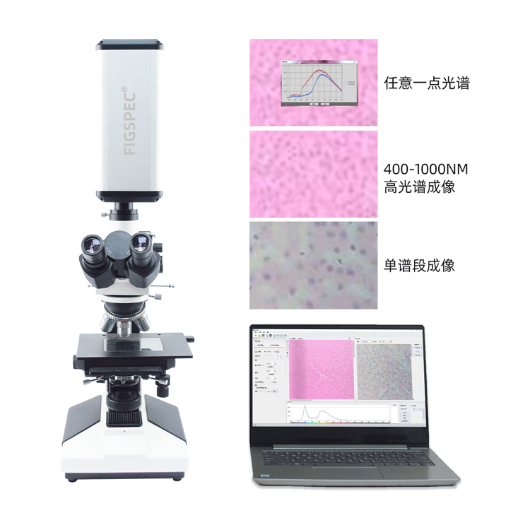 細胞組織修復(fù)監(jiān)測高光譜相機推薦什么品牌？